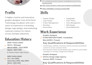do professional resume design, CV design in editable format
